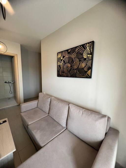 Apartment Penthouse Apt In Downtown